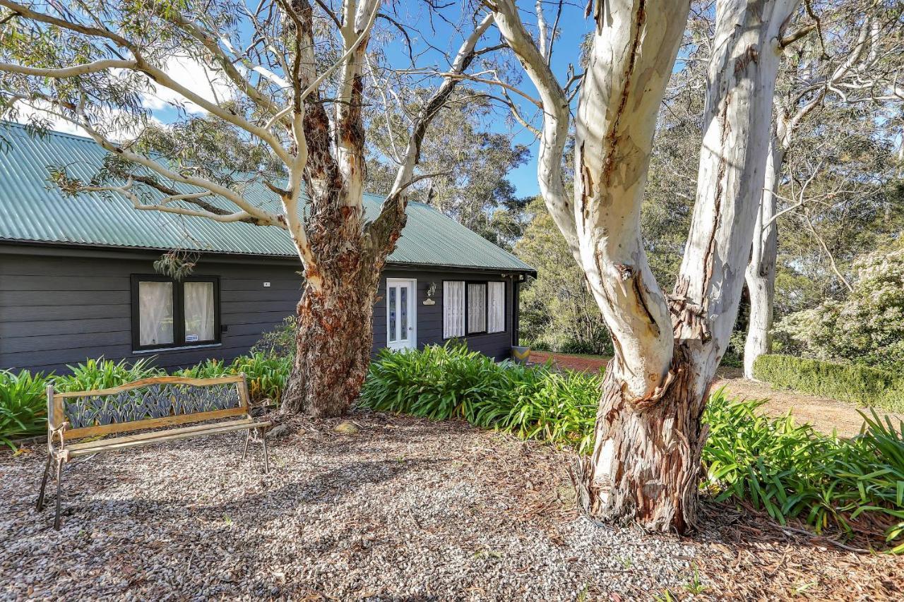 Mountainside B & B Wentworth Falls Exterior photo